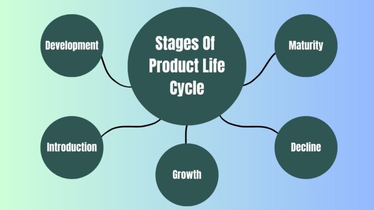 Learn the all 5 Stages of Product Life Cycle