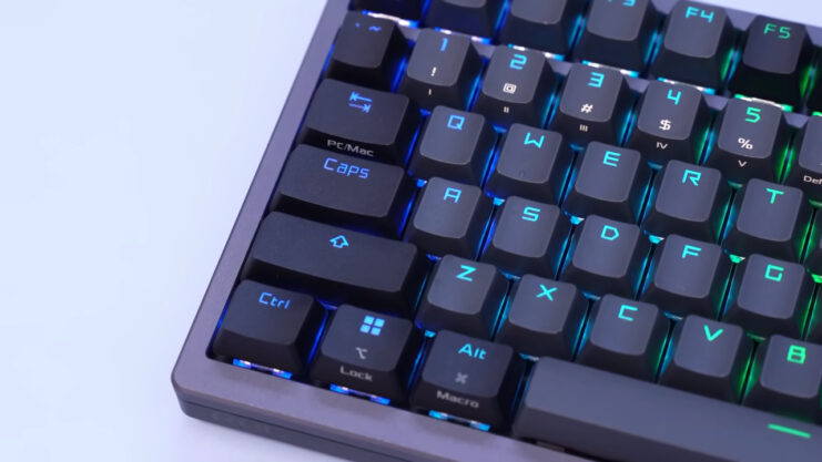 Choosing the Right Keyboard for You