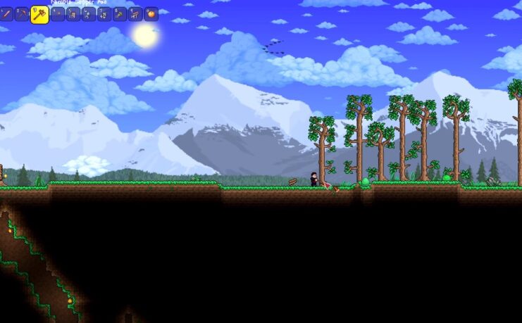 Is Terraria a survival game